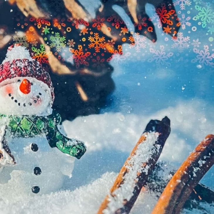 BOPP Holográfico Frozen Laminação 21,5cmx10m Marpax 01un