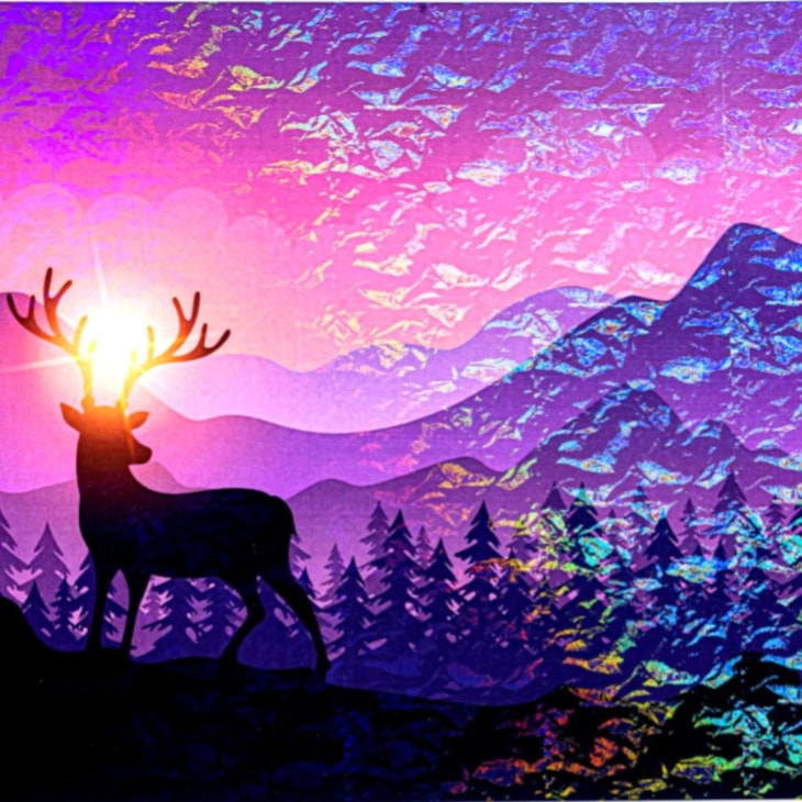 BOPP Holográfico Solid para Laminação 21,5cmx10m Marpax 01un