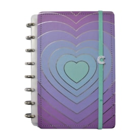 Caderno Inteligente A5 148x210mm Silver Love 80fls 01un