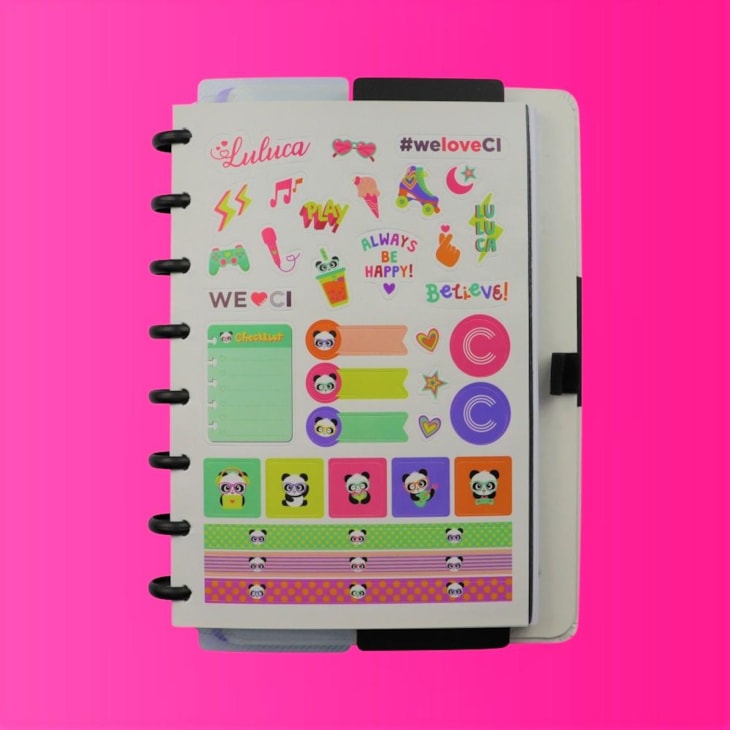 Caderno Inteligente Grande Luluca By Pandalu 80 Folhas 01un
