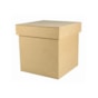 Caixa Quadrada Tampa Sapato 8X8X6 Mdf Madeira Marpax