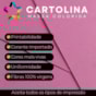 Cartolina 240g 305x305mm Cor Rosa Marpax Pacote com10fls