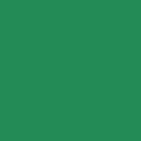 Folha de EVA Liso Verde Folha 40x48cm 1,5mm pacote com 10un