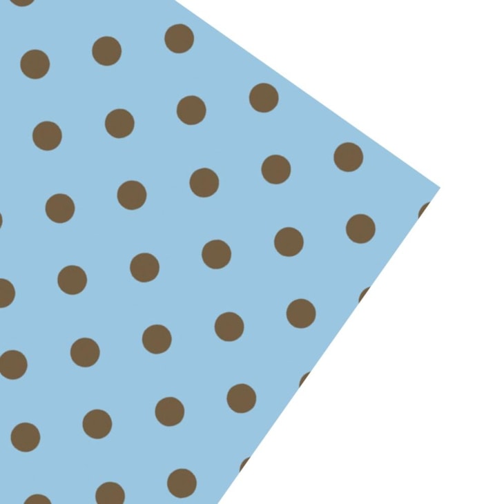 Folha de EVA Poá Azul/Marrom 40x48cm 1,5mm pacote com 10 un