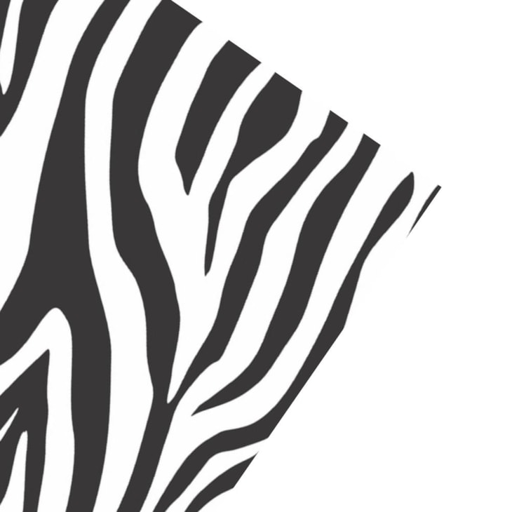 Folha de EVA Zebra Branco/Preto 40x48cm 1,5mm pacote com 10 un