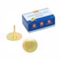 Kit Tachinha Percevejo para mural Latonado BRW 600un