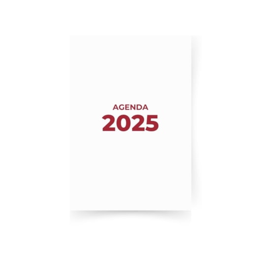 Miolo de Agenda Refilado 2025 Vinho 176fls Marpax 01un