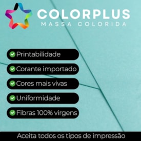 Papel Color Plus 180g 66X96cm Metalizado Palm Beach 5fls