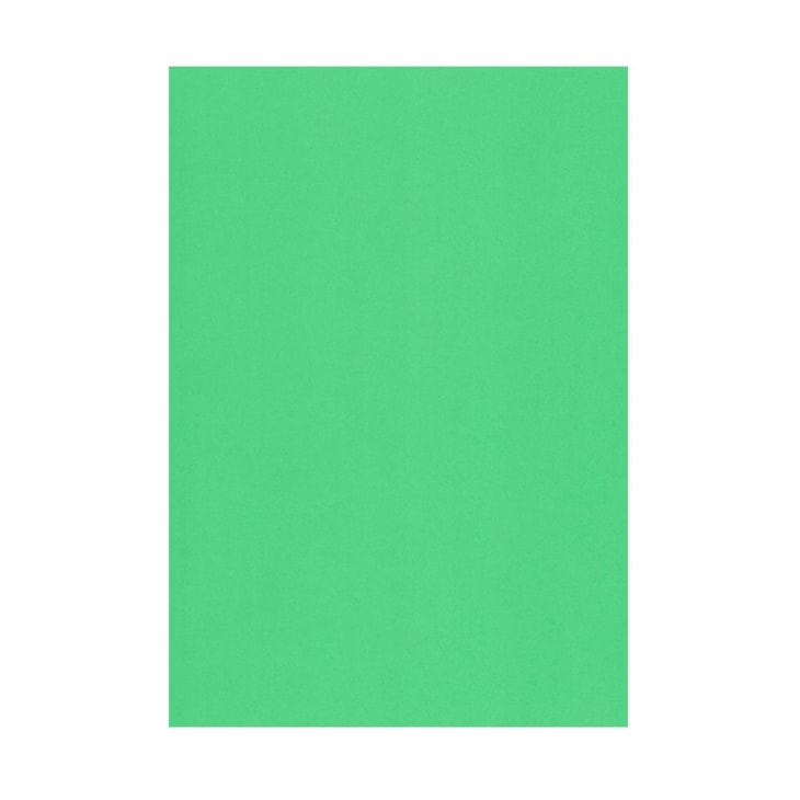 Papel Color Plus Verde A4 210x297mm 180g Romitec 25Fls