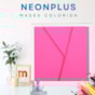 Papel Neon Plus 240g 660X960mm Rosa Marpax pct com 5fls