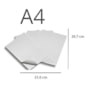Papel Triplex 300g A4 210x297mm Premium Branco Marpax 10fls