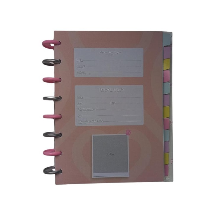 Planner de Disco Permanente 220x170mm Best Friend 91fls BRW