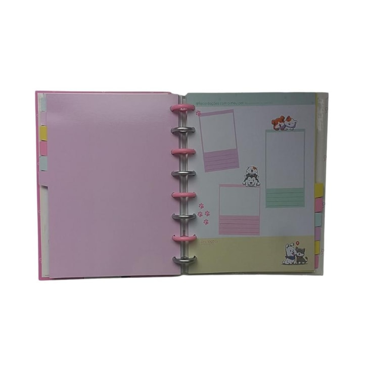 Planner de Disco Permanente 220x170mm Best Friend 91fls BRW