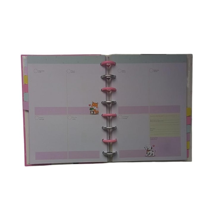 Planner de Disco Permanente 220x170mm Best Friend 91fls BRW