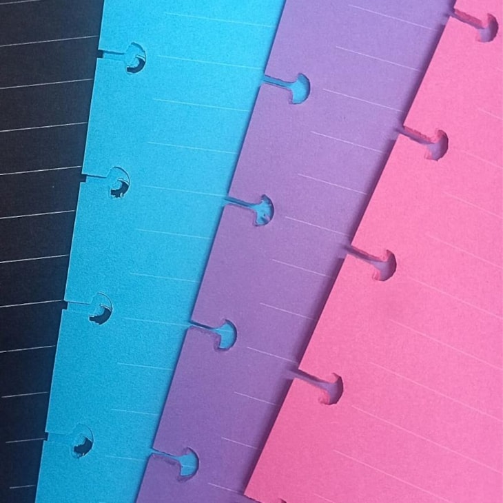 Refil Caderno Disco Grande Colorido 90g 275X200mm BRW 40fls